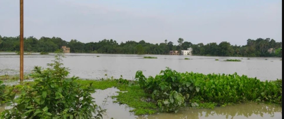 Shankarpur Champa River Estuary, Purba Medinipur (East Medinipur), West Bengal - Vushii.com